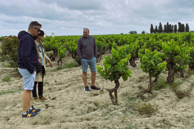 Montpellier : Gesamttagung Sable de CamargueMontpellier : Komplette Privattagung Sable de Camargue