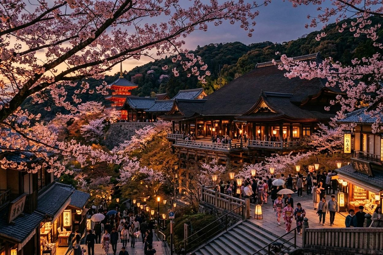 Kyoto: Private Guided Tour With Vehicle and Optional Add-Ons
