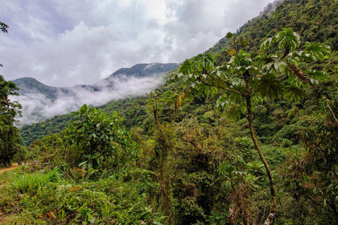 Manu: 8-Day Amazon Wildlife & Jungle Expedition