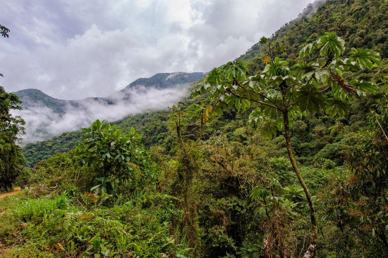 Manu: 8-Day Amazon Wildlife & Jungle Expedition