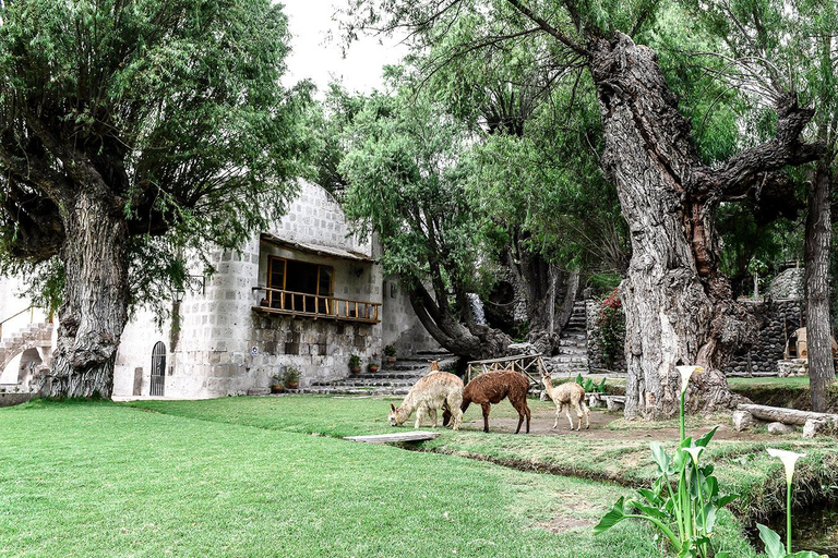 Arequipa: Sightseeing Tour of the Molino de Sabandía and the Andenes de Paucarpata