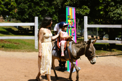 Promenade à dos d&#039;âne pour les enfants