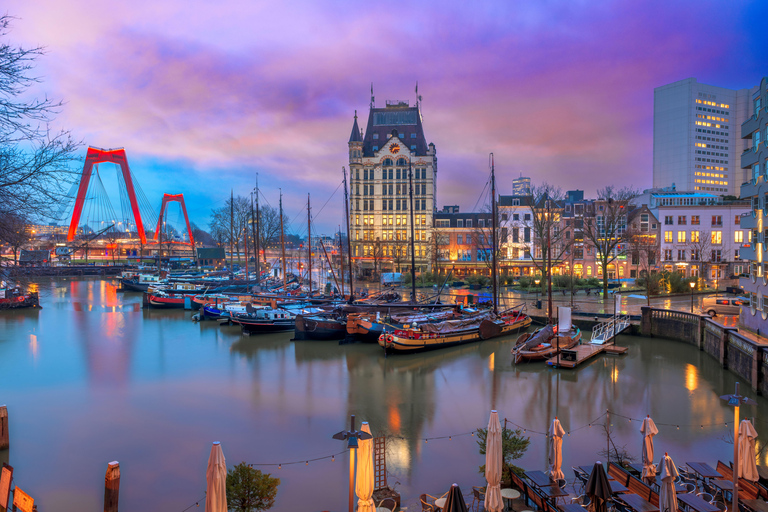 Rotterdam: Capture the most Photogenic Spots with a Local