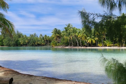 Taha'a: Tour partagé ou privé haut de gamme en bateau, Sunset vue Bora Bora