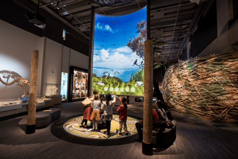 Wellington: Wejście do Muzeum Te Papa dla gości zagranicznych