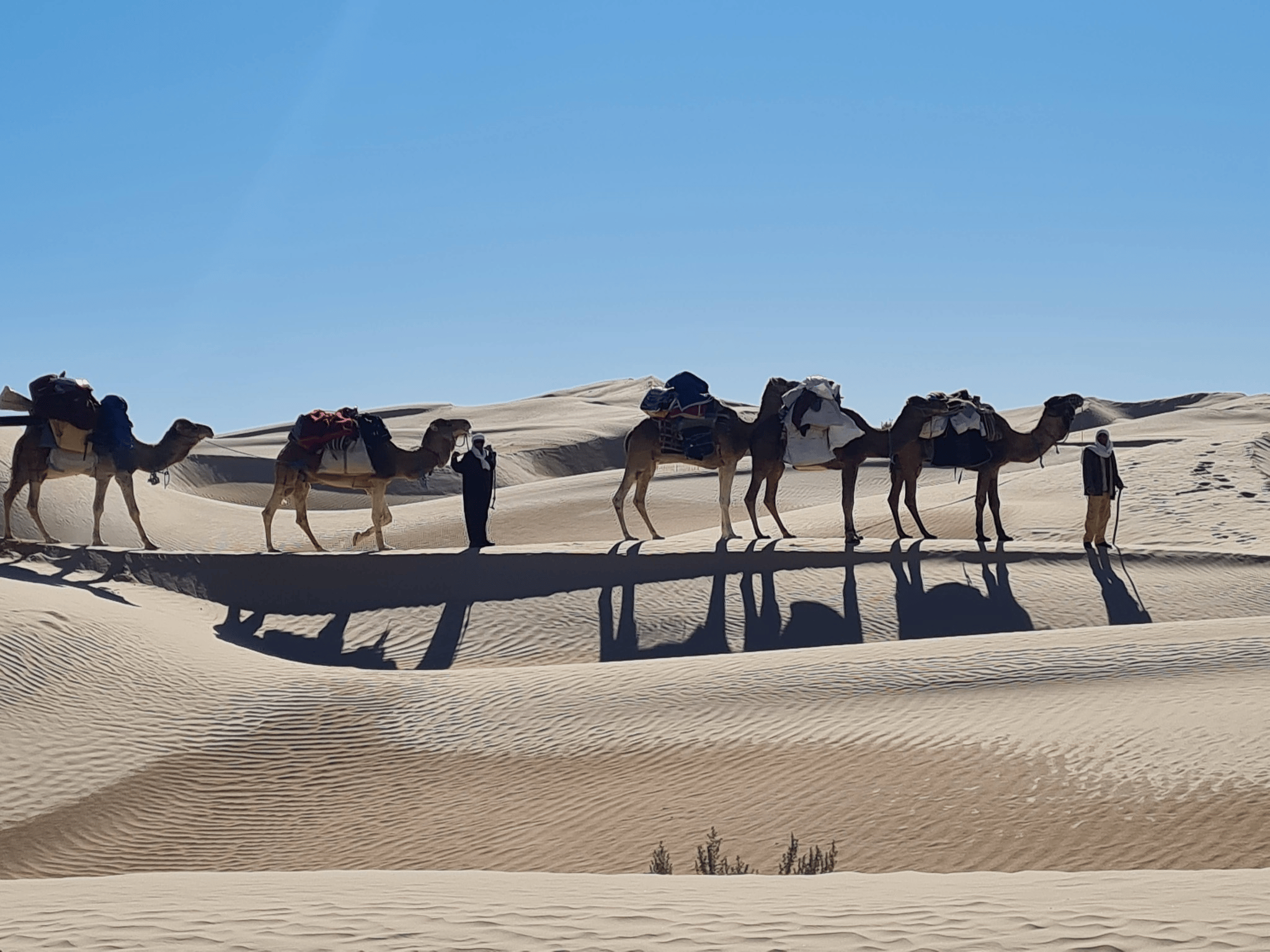 2 Tage Sahara umgekehrte Strecke: ohne Menschenmassen & Ksar Ghilan Oase