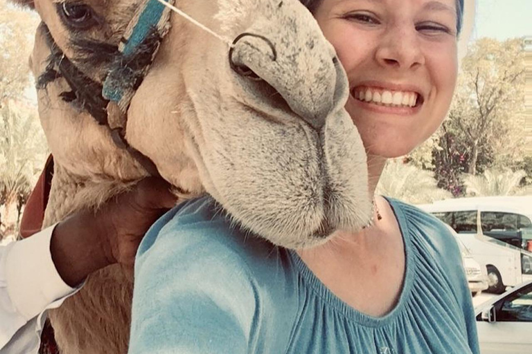 Agadir Camel Ride &amp; Flamingo River + Souk &amp; Moroccan Tea