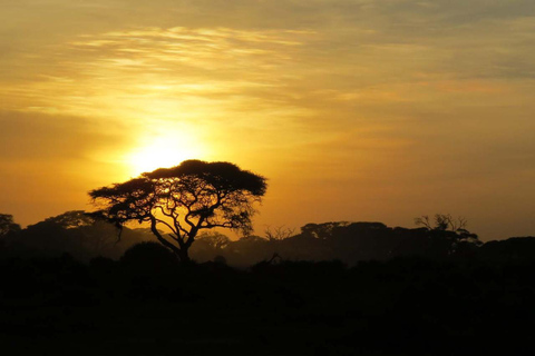 Safari au coucher du soleil dans la réserve de chasse d&#039;Aquila avec transport privé