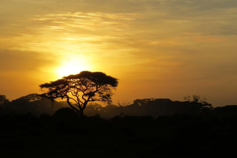 Safari al atardecer en la Reserva de Caza de Aquila con transporte privado