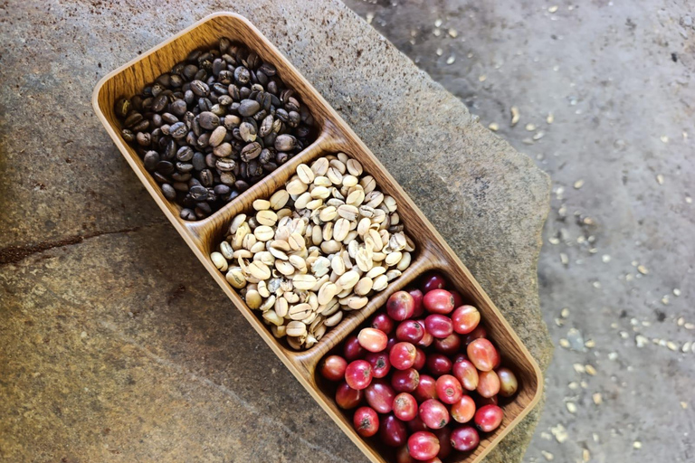 Cusco: 2-Day Coffee & Cacao Farm Stay Experience