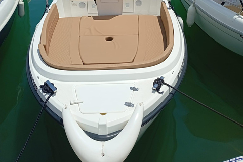 ماربيا: تأجير قوارب بدون ترخيص لمشاهدة الدلافينإيجار لمدة 30 دقيقة