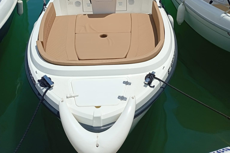 ماربيا: تأجير قوارب بدون ترخيص لمشاهدة الدلافينإيجار لمدة 30 دقيقة