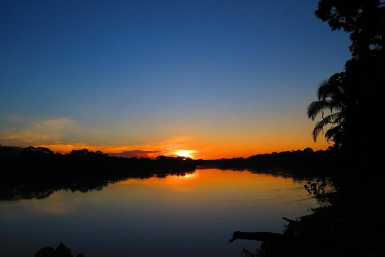 Tambopata turné: 3D/2N Amazonas-äventyr