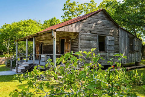 New Orleans: Oak Alley eller Laura Plantation &amp; Airboat Tour