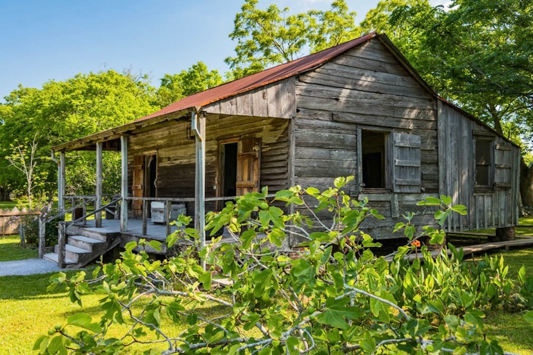 New Orleans: Oak Alley of Laura Plantation & Moerasboottocht