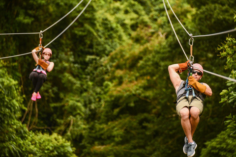 Punta Cana: Zipline-äventyr med upphämtning från hotell