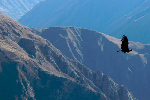 Chonta Viewpoint, Tarawasi &amp; Killarumiyoq Wycieczka prywatna