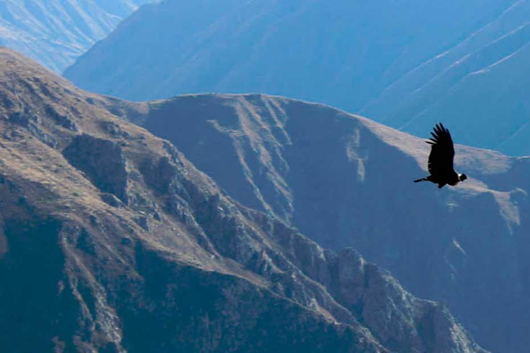 Chonta Viewpoint, Tarawasi &amp; Killarumiyoq Wycieczka prywatna