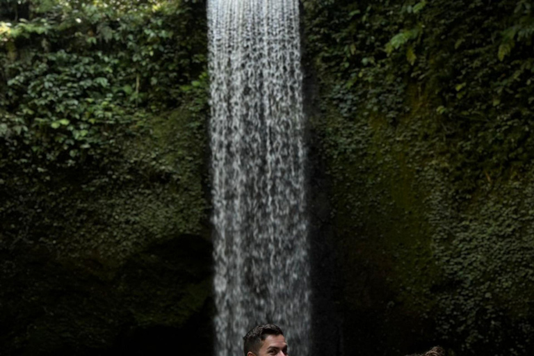 Private Ubud Tour – Monkey Forest, Rice Terrace & Waterfall Without Entry Tickets Half Day Tour