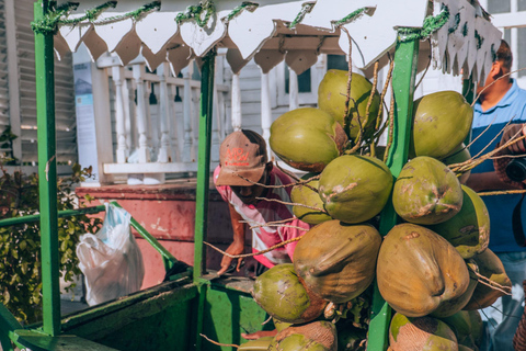 Puerto Plata City & Culture Highlights Tour