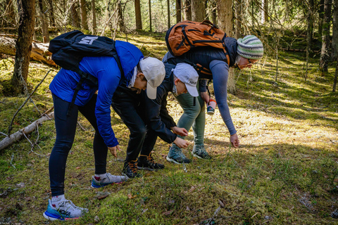 Kõrvemaa Nature Reserve Self-Guided Hike with Transfer