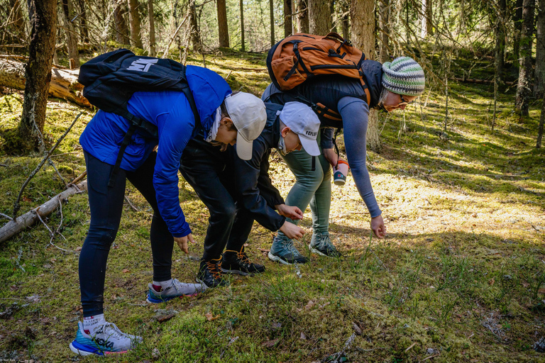 Kõrvemaa Nature Reserve Self-Guided Hike with Transfer