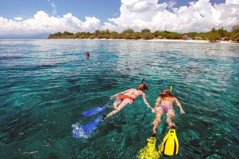Koh Samui: Viewpoint, Elephant, Pig Island & Snorkel + Lunch Viewpoint, Elephant, Snorkeling, Pig Island+Lunch