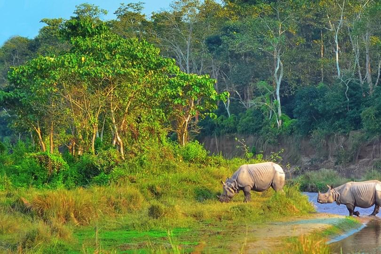 Chitwan 1 Night 2 Day Wildlife Adventure