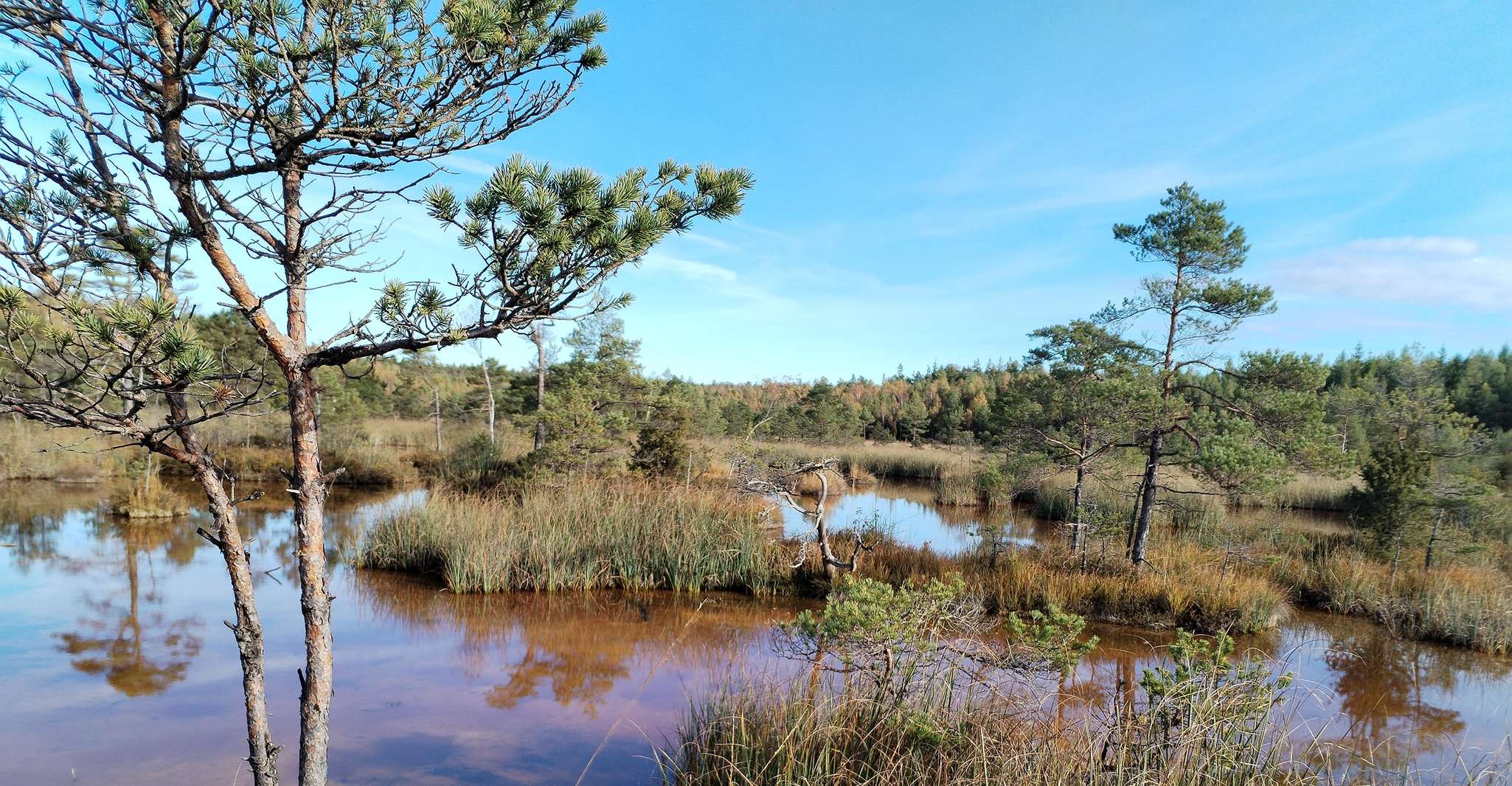 Kemeri National park Hiking trail (16 km) - Housity