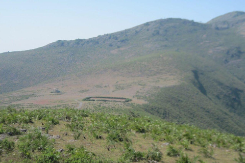 One-Day Cultural &amp; Nature Tour: Jeypore &amp; Koraput