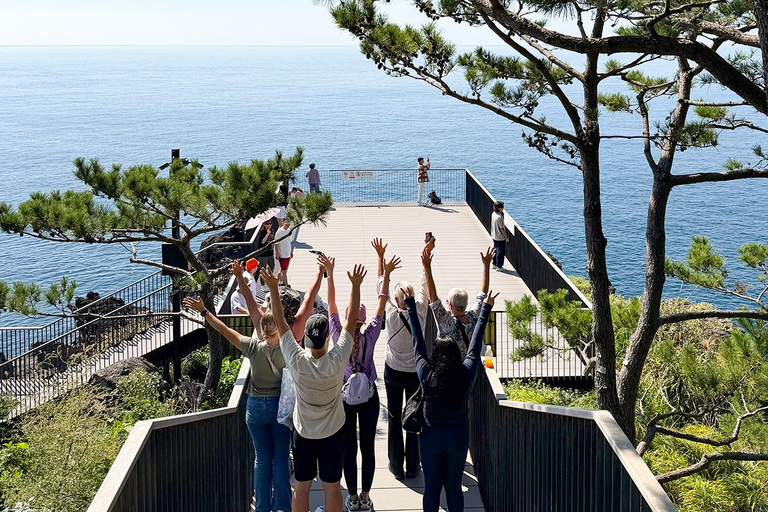 Jeju: UNESCO South & East Highlights 2 Days Combo Tour