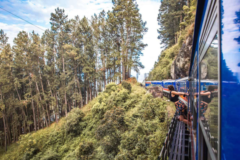 Ella Scenic Train Journey: Reserved E Tickets from Ambewela Ambewela: Ella Scenic Train E-Ticket in 1st 2nd Class Cabin