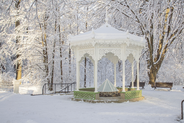 Desde Riga: Jūrmala y el Parque Nacional de Ķemeri con picnic