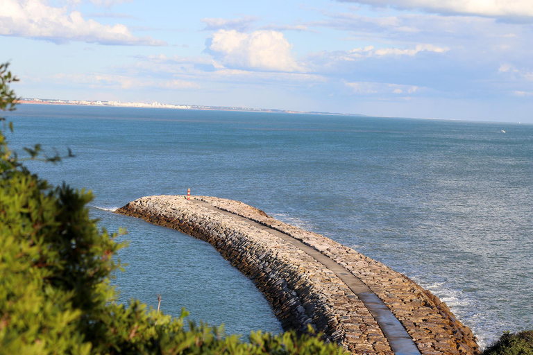 Albufeira: 1-Hour Tuk Tuk Tour Summer Schedule