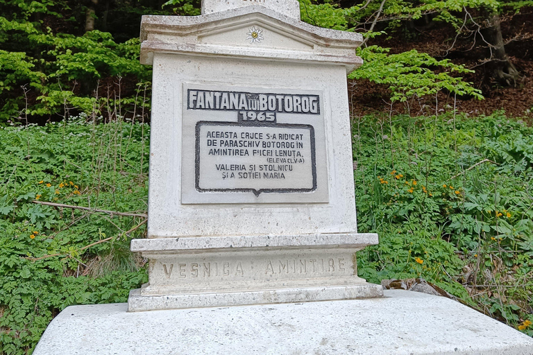 Brașov: Caminhada privada em Piatra Craiului até a cabana CurmaturaBrașov: Caminhada Privada de Piatra Craiului até a Cabana Curmatura