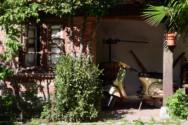 Segovia: Winery Tour with Wine Tasting Segovia: Tour with Wine Tasting