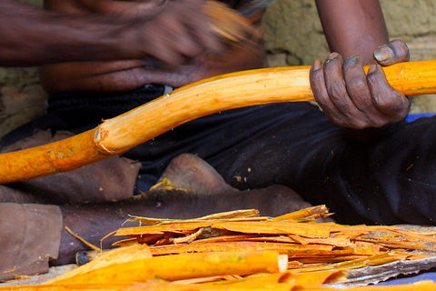 Ontdek de verborgen parels van Galle en eet met localsOntdek de verborgen parels van Galle en de kunst van het lokale dineren
