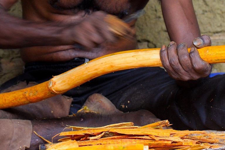 Ontdek de verborgen parels van Galle en eet met localsOntdek de verborgen parels van Galle en de kunst van het lokale dineren