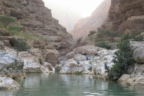 Desde Mascate: Día completo en Wadi Shab y el sumidero de Bimmah