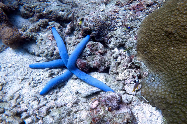 Scuba diving from stunning coral reef in the heart of Phuket