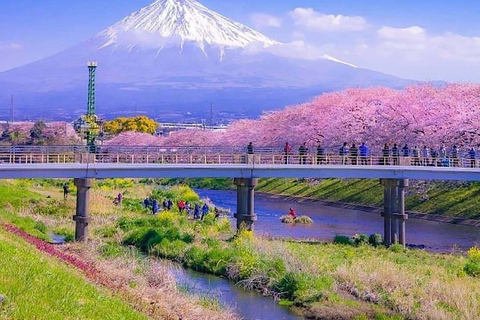 Visite guidée privée du Mont Fuji et de Hakone