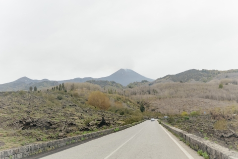 Catania: excursión matutina o vespertina al Etna con cataTour privado de mañana en italiano