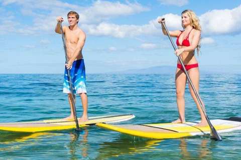 Zanzibar: Stand-Up Paddle boarding Guided Tour