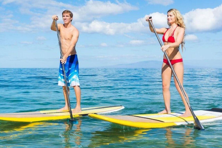 Zanzibar: Stand-Up Paddle boarding Guided Tour