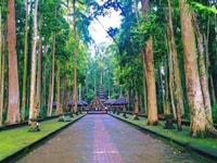 Del norte de Bali, Tanah Lot, Sangeh Forest y Templo Ulun Danu - Housity