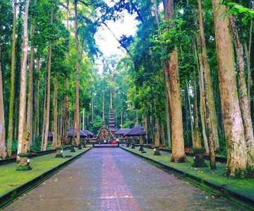Från norra Bali: Tanah Lot, sangehskogen och Ulun Danu-templet
