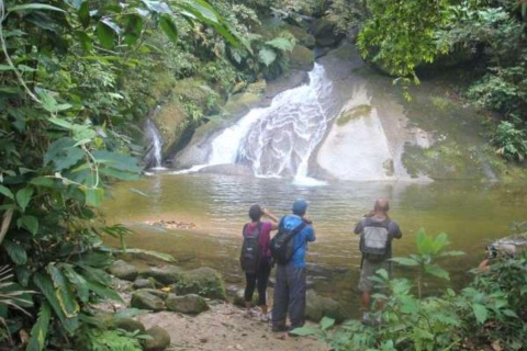 Excursion à Santos : Forêt tropicale et réserve indienneDe la forêt tropicale de Sao Paulo et de la réserve indienne