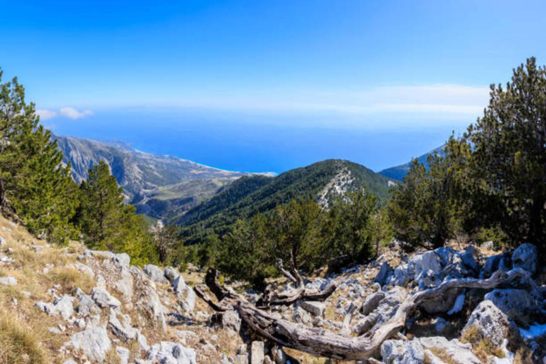 Vlora, Dhermi & Llogara Day Trip from Tirana/Durrës/Golem