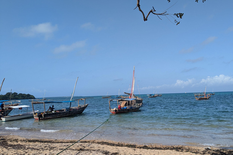 Zanzibar: Chumbe Island Coral Park Day Trip with LunchGrave Island in front of Stone Town