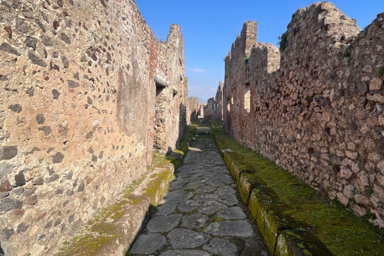 Desde Roma: viaje VIP de 1 día a Pompeya y Sorrento
